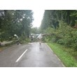 fotografia